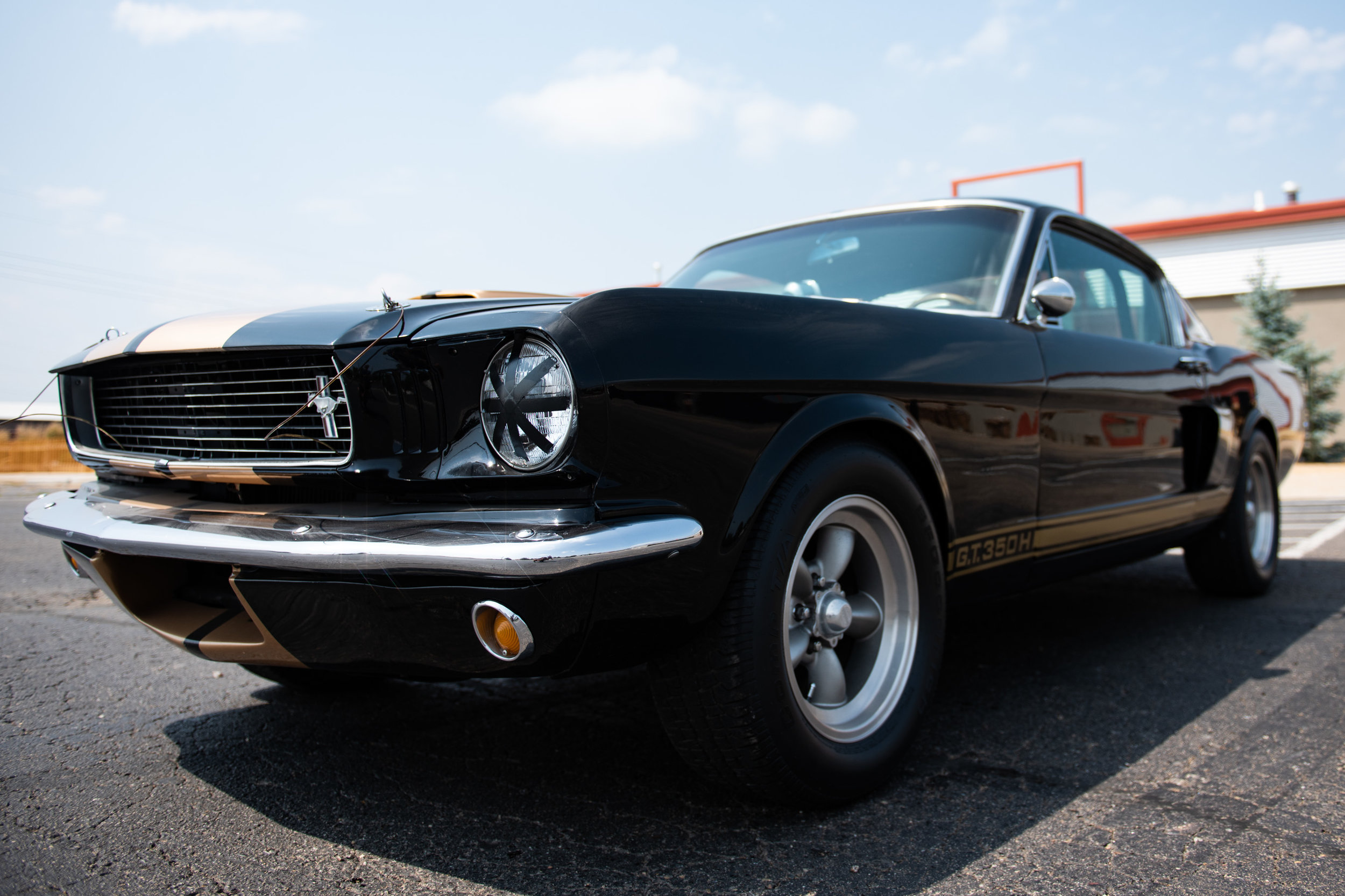 ShelbyGT350_04.jpg