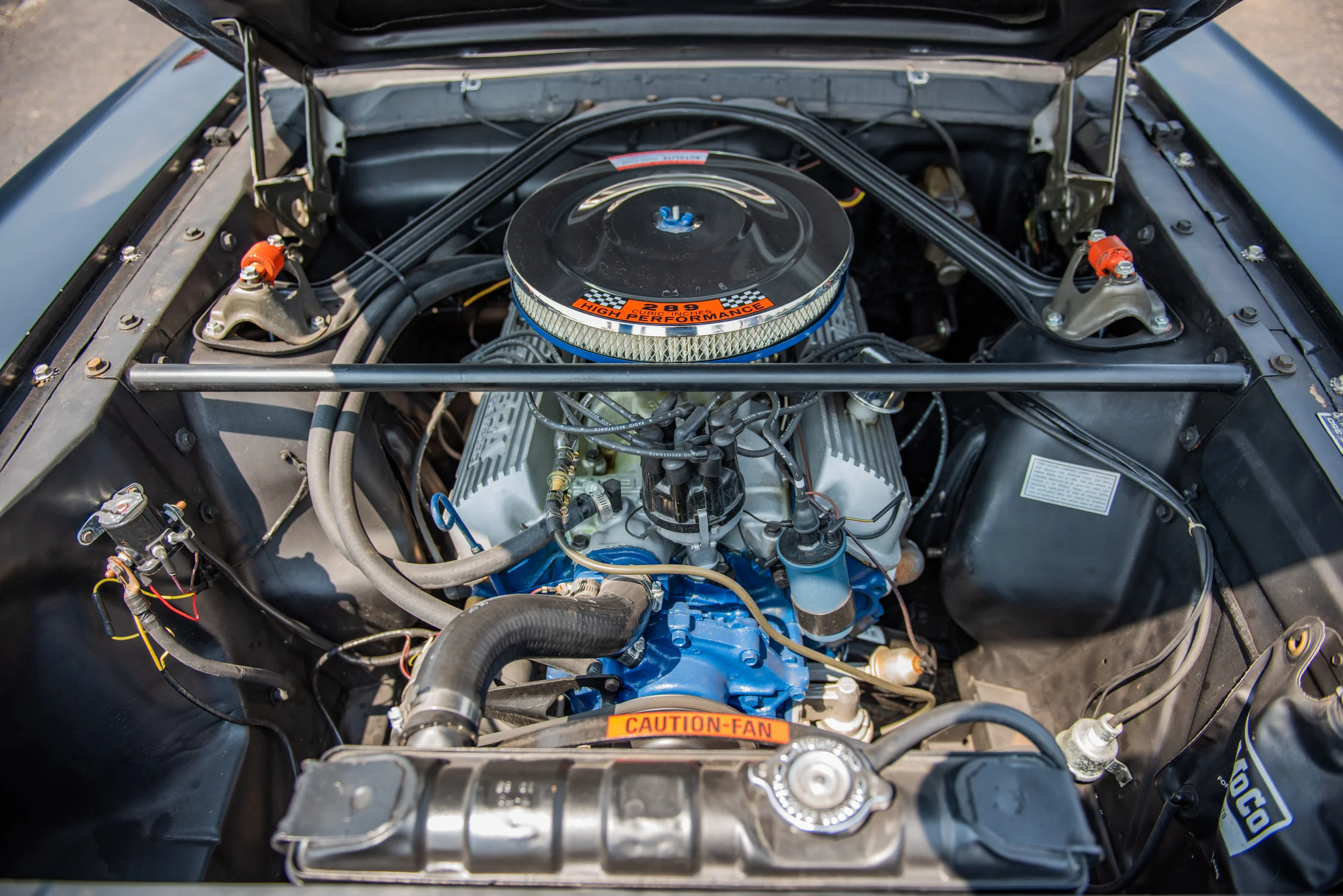 ShelbyGT350_11.jpg