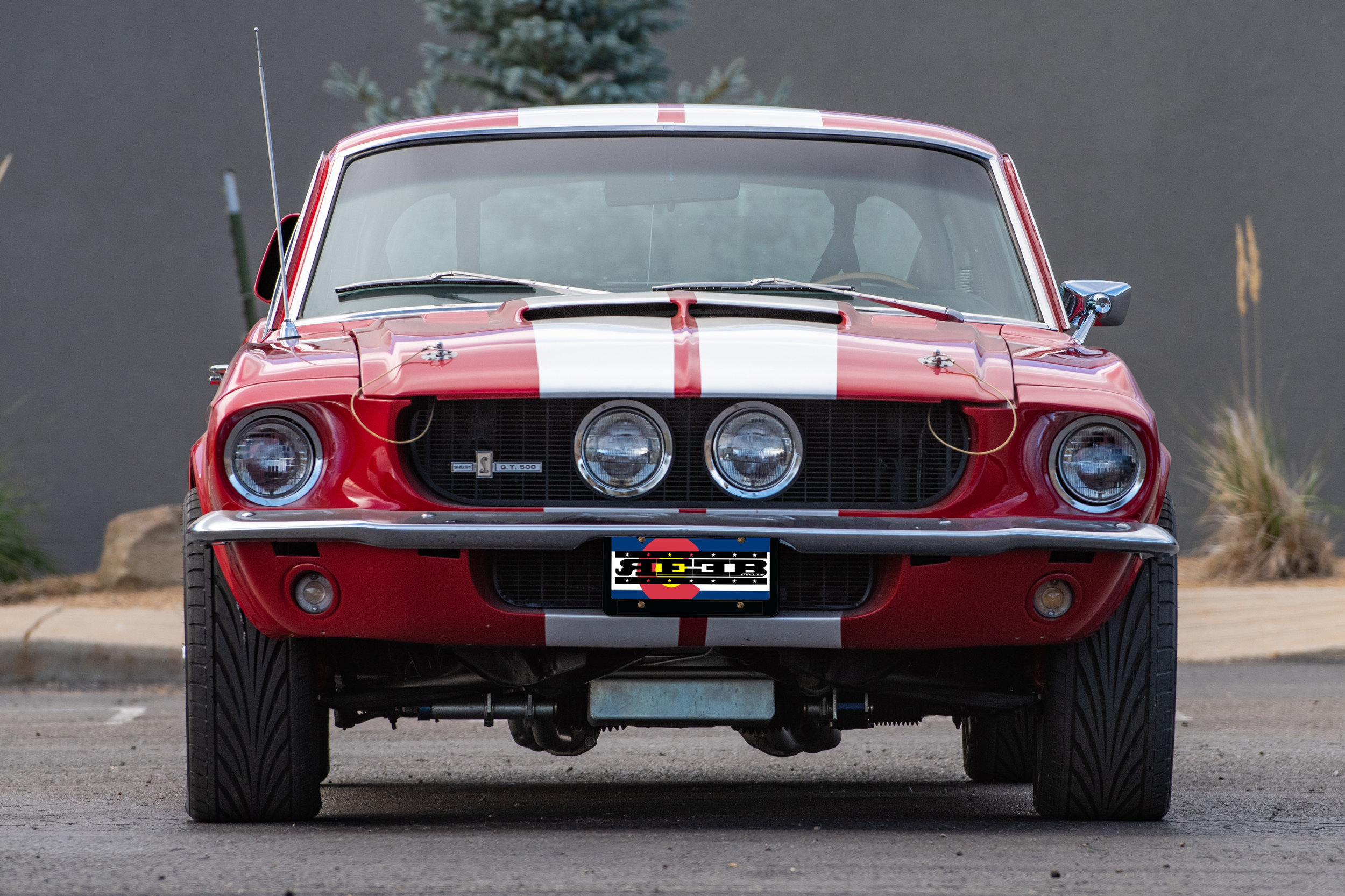 RedShelbyGT500_03.jpg