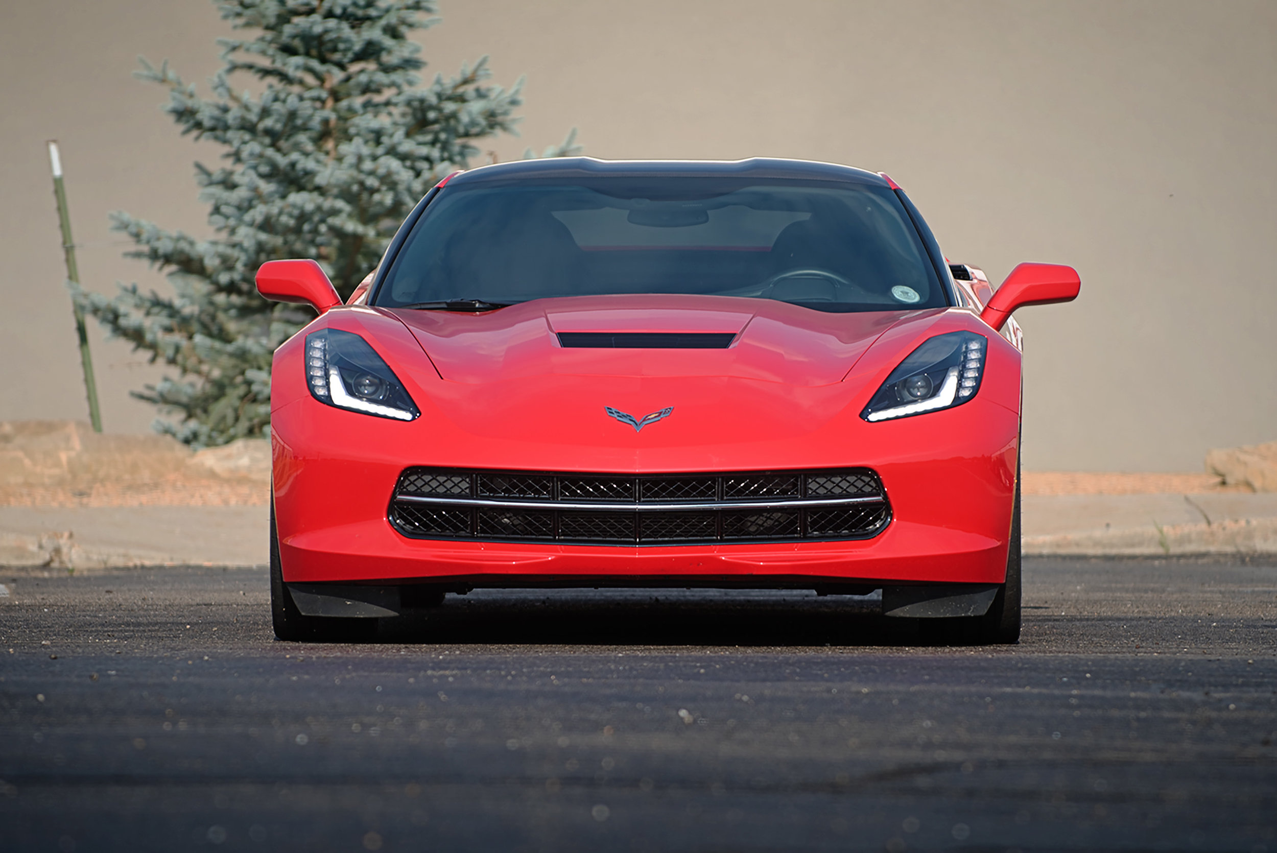 Vette-04.jpg