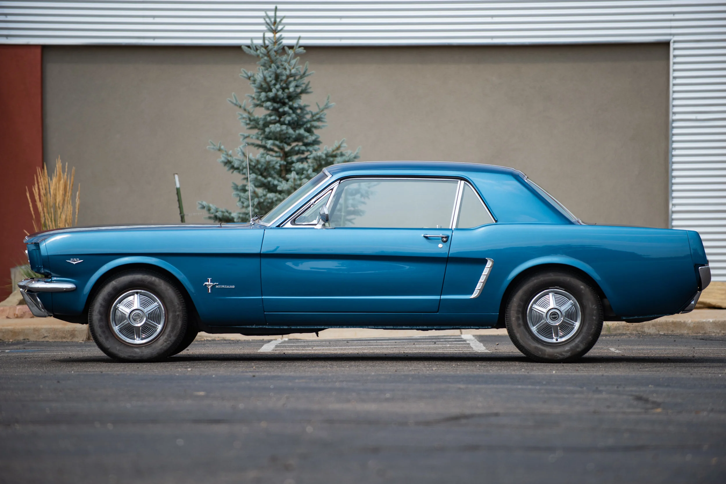 BlueStangHardTop_01.jpg