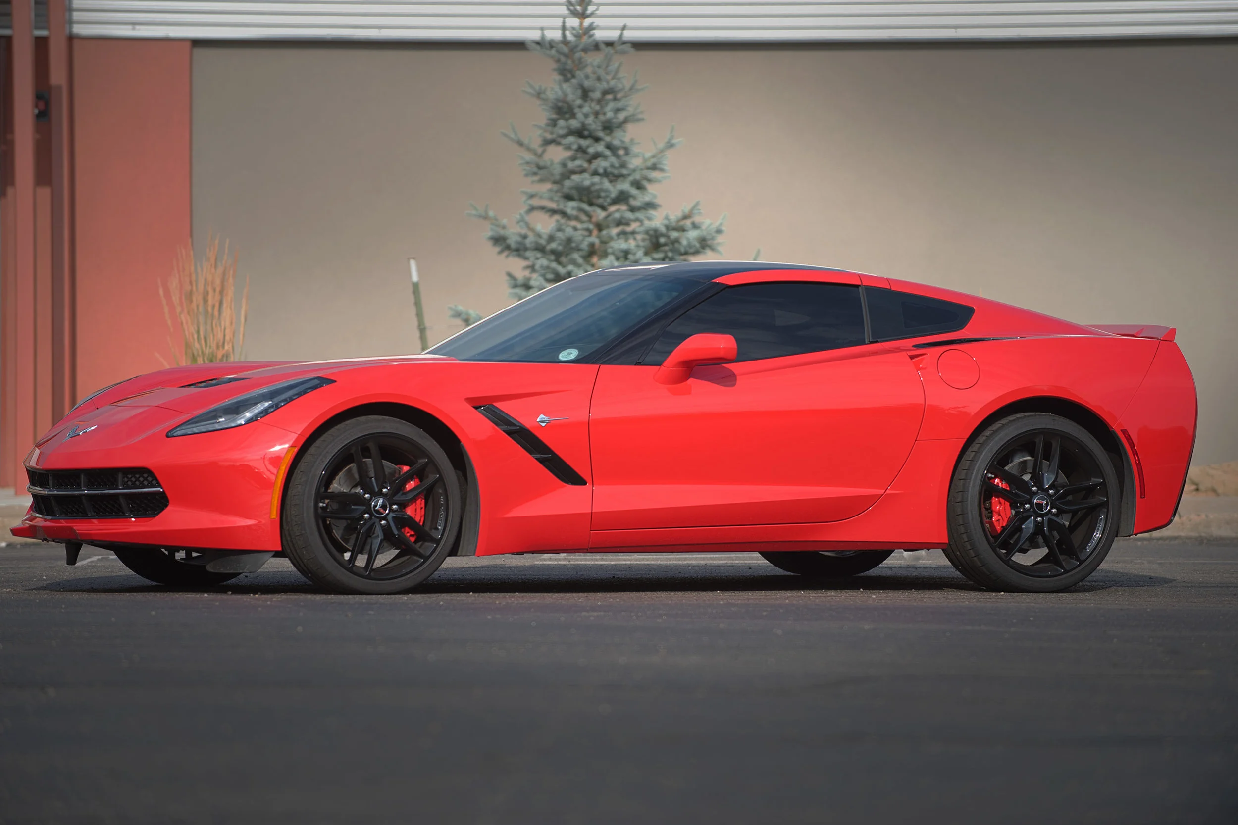 Vette-01.jpg