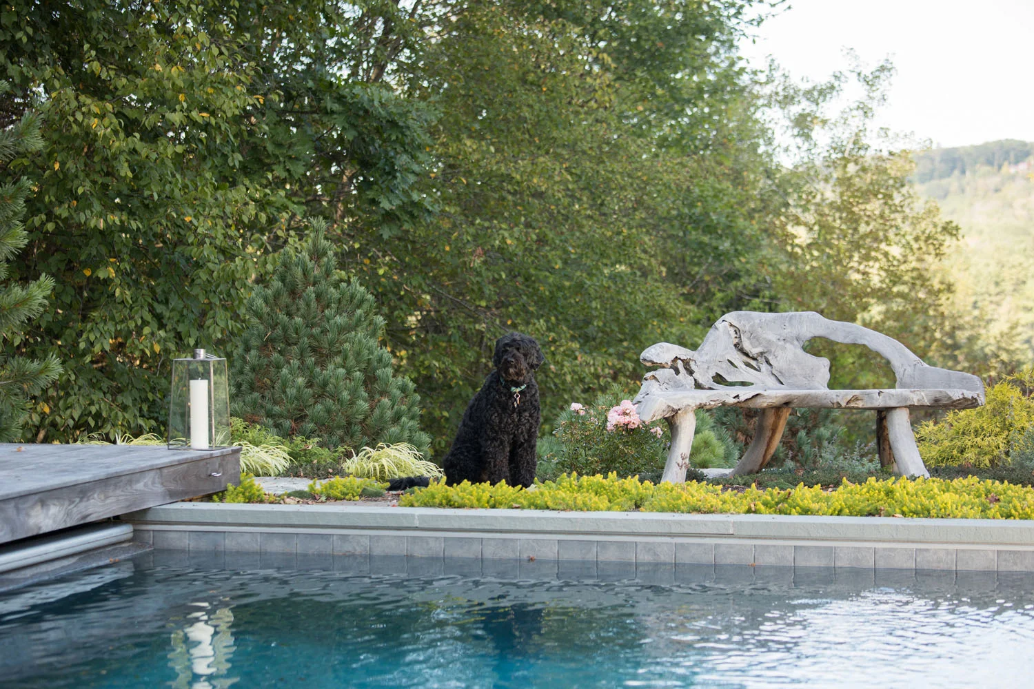 07-pool-house-FInelines_020.jpg