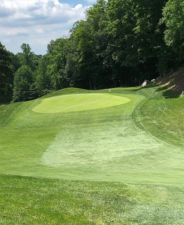 Color of the day is &ldquo;On the Green&rdquo;. A Happy Father&rsquo;s Day for my husband and our family golfing.  Beautiful course and beautiful day. #happydad #happyplace #greens #club #parforthecourse #teetime #cartdriver #caddymom