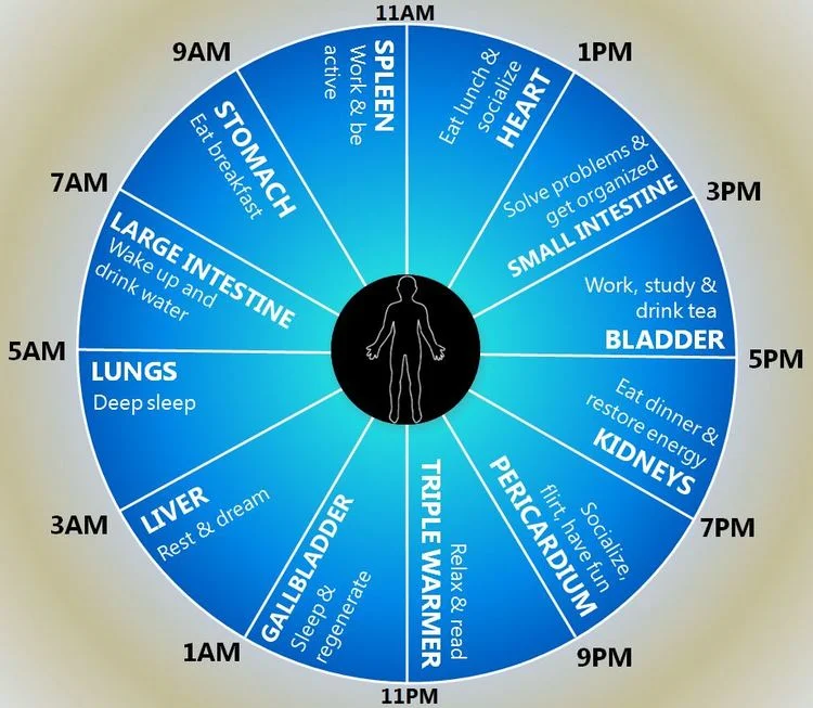 MMG_Human_Clock.jpeg