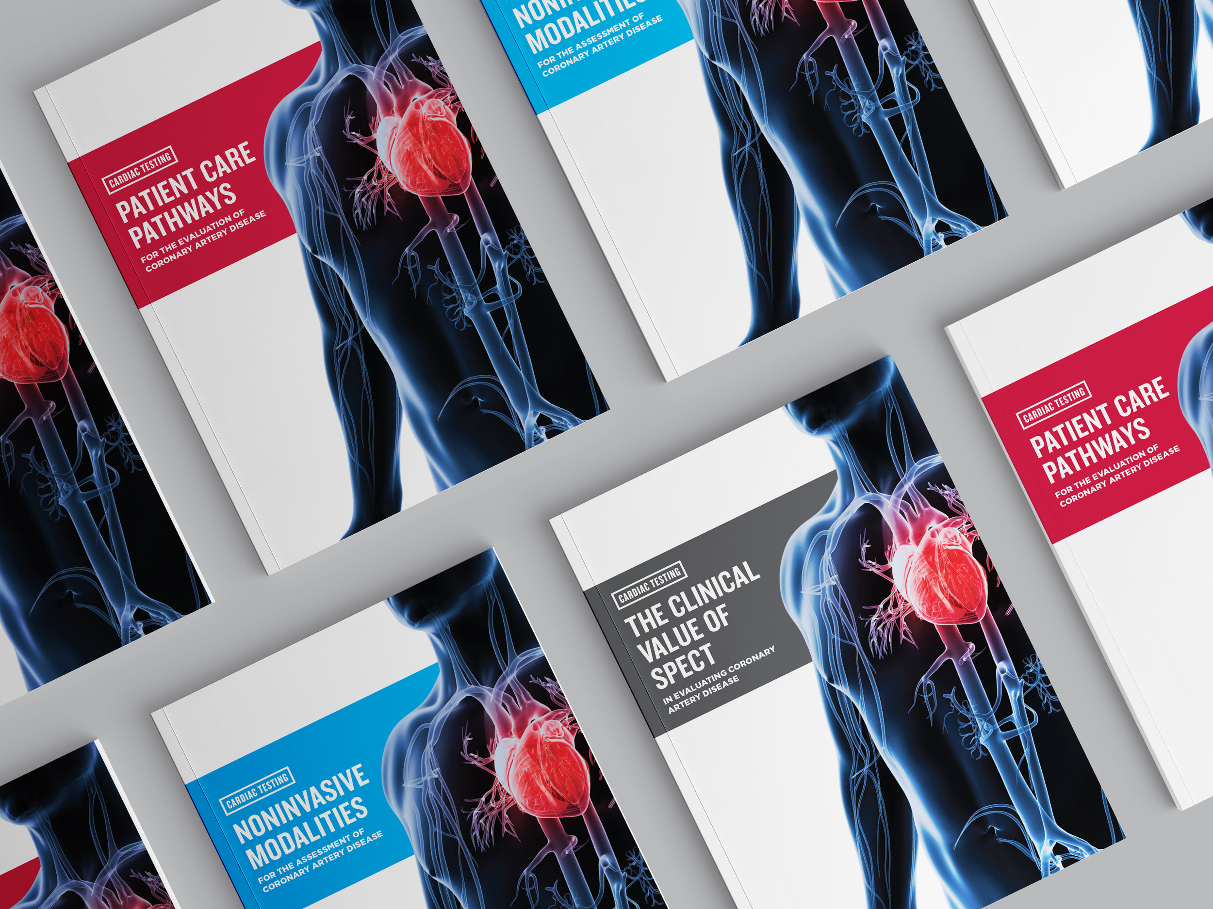 A collection of 3+ years of assorted work for Astellas Cardiovascular in the branded and nonbranded space.