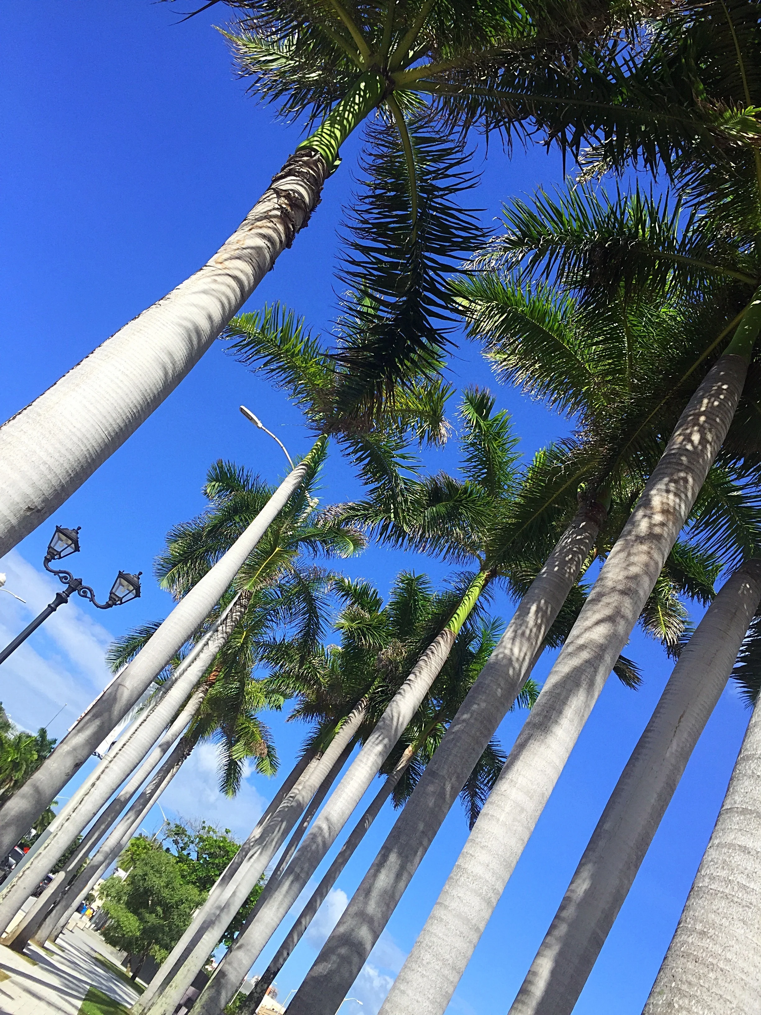 Solitude In San Juan, Puerto Rico
