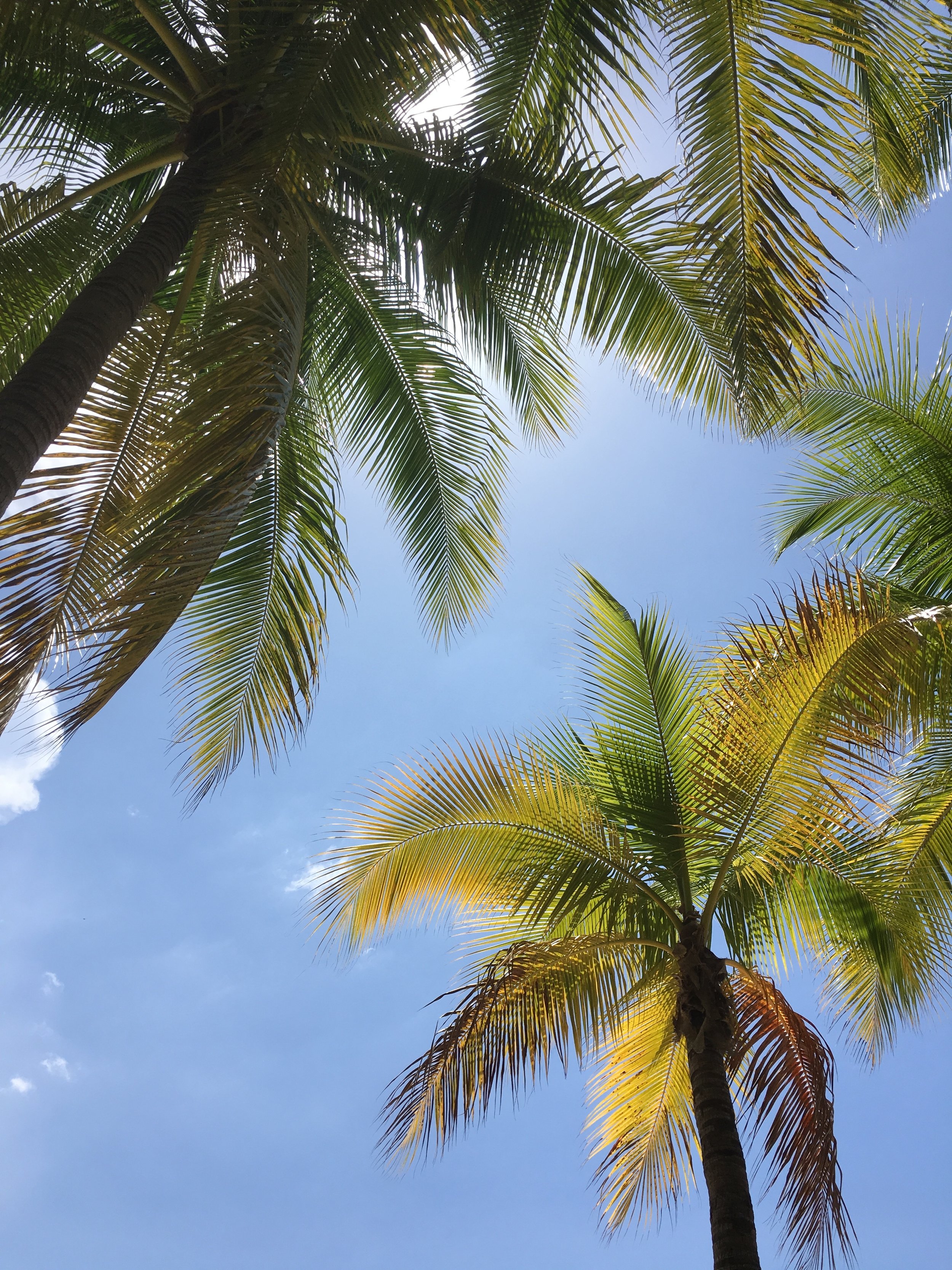 How I Ended Up Stranded Alone In Jamaica During Hurricane Harvey