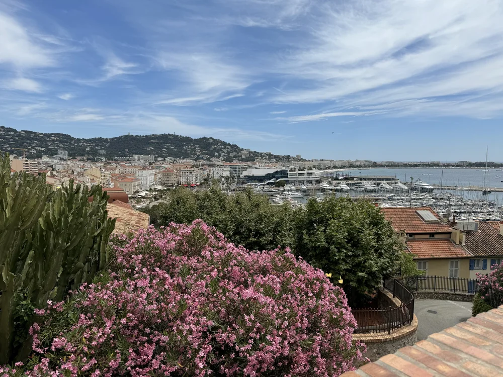 IMG_0223.jpeg