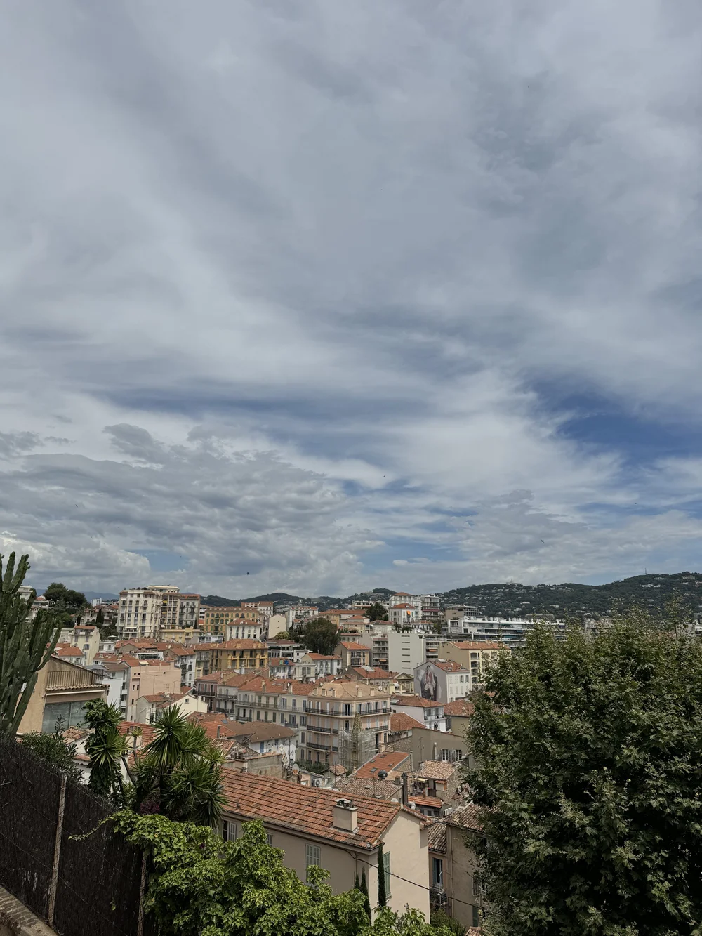 IMG_0237.jpeg