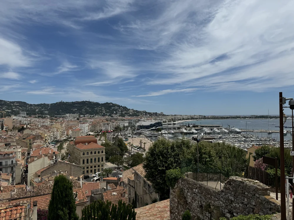 IMG_0242.jpeg