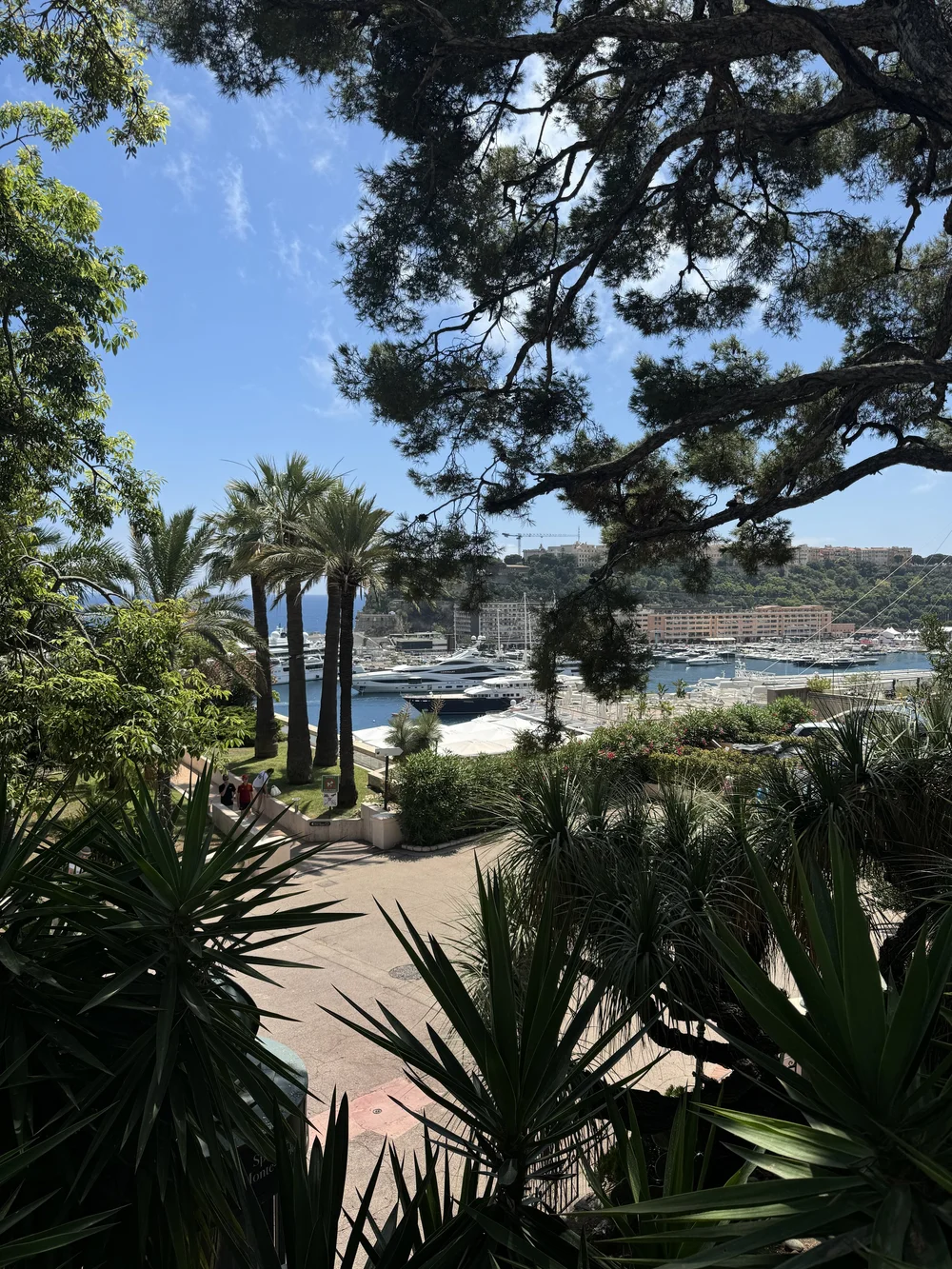 IMG_0556.jpeg