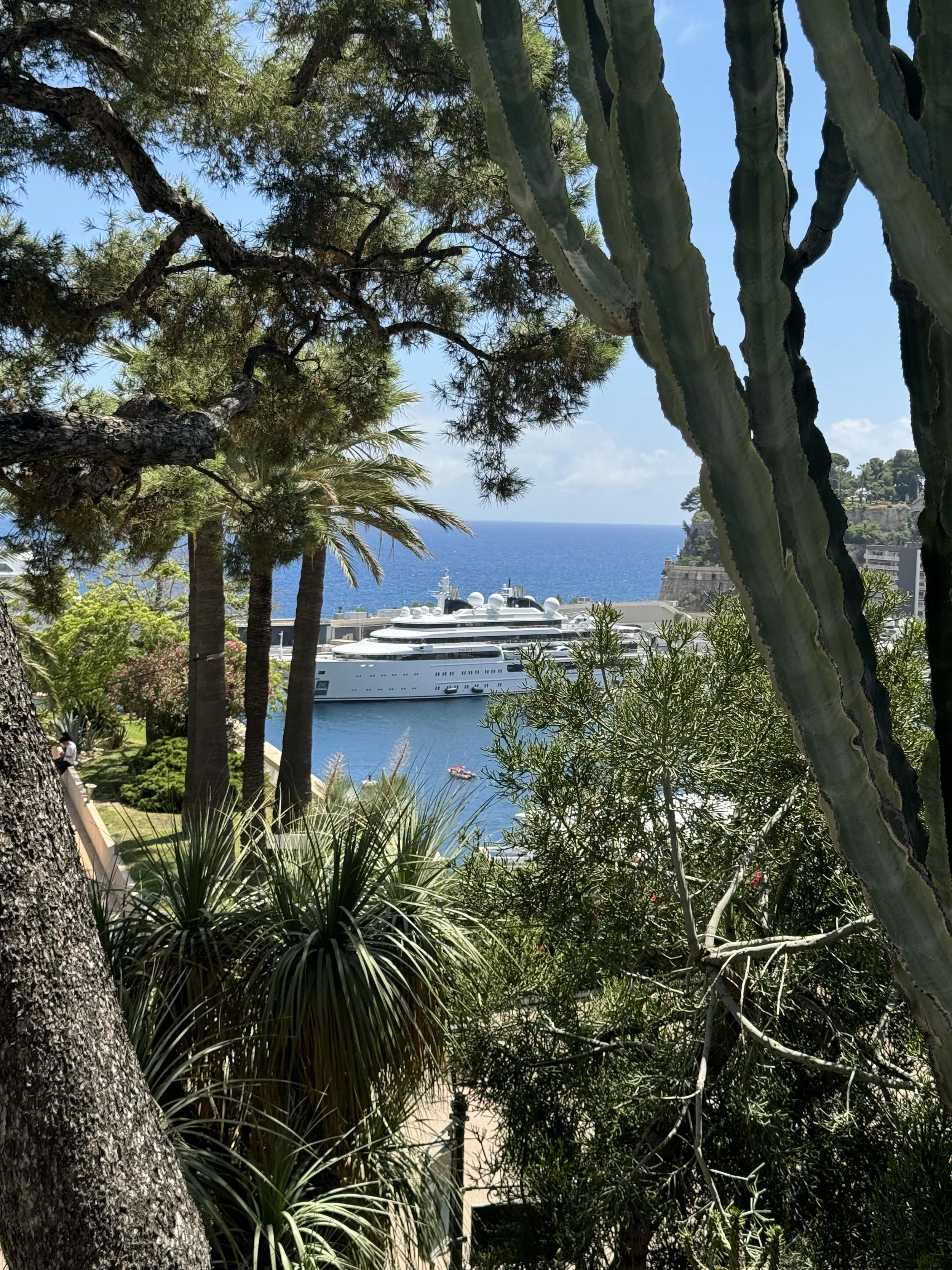 Take Me To Monte Carlo!