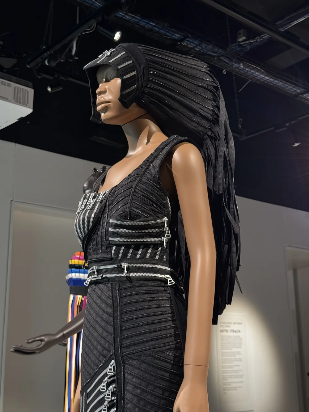 The Missing Link Collection