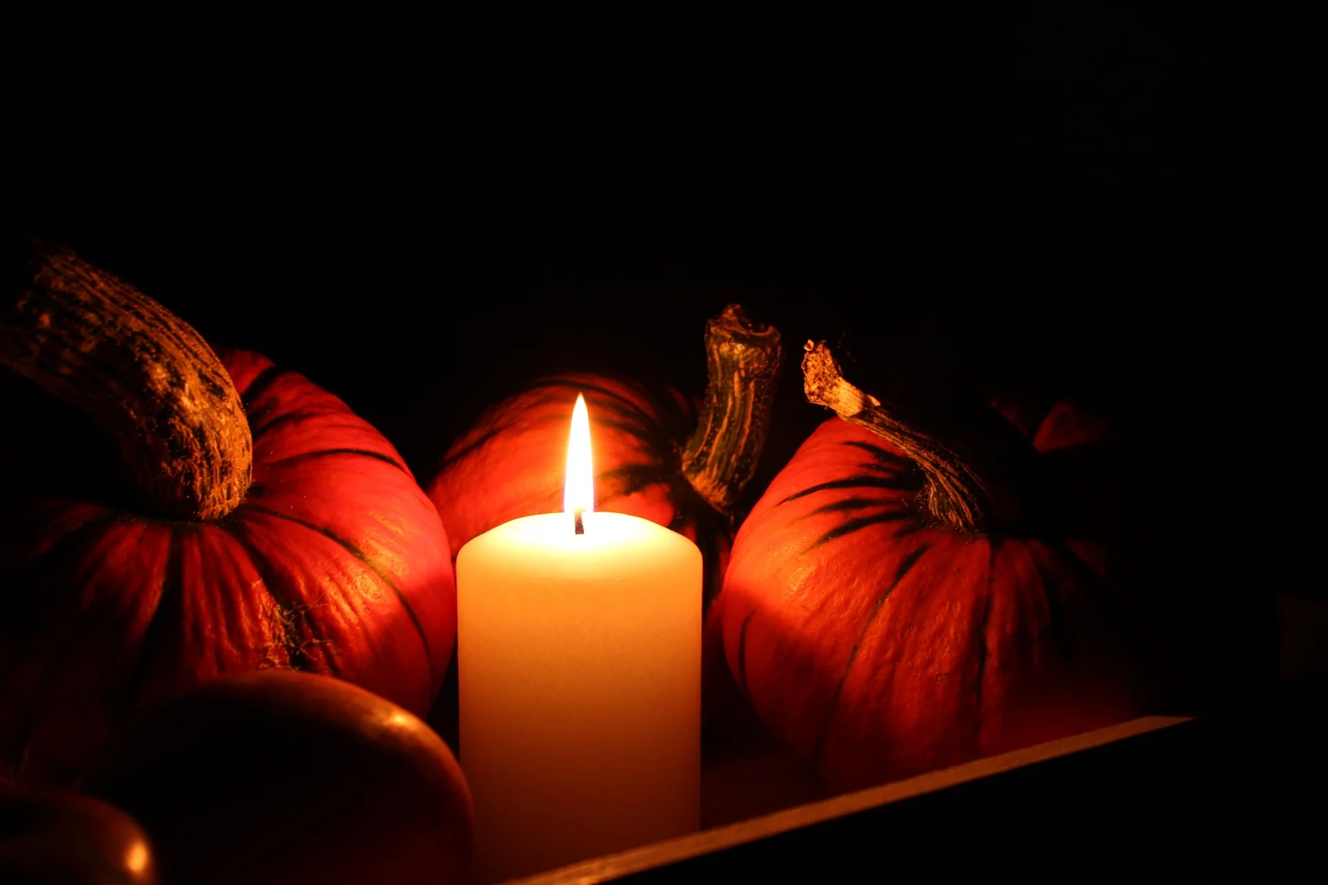 pumpkin-2735191_1920.jpg