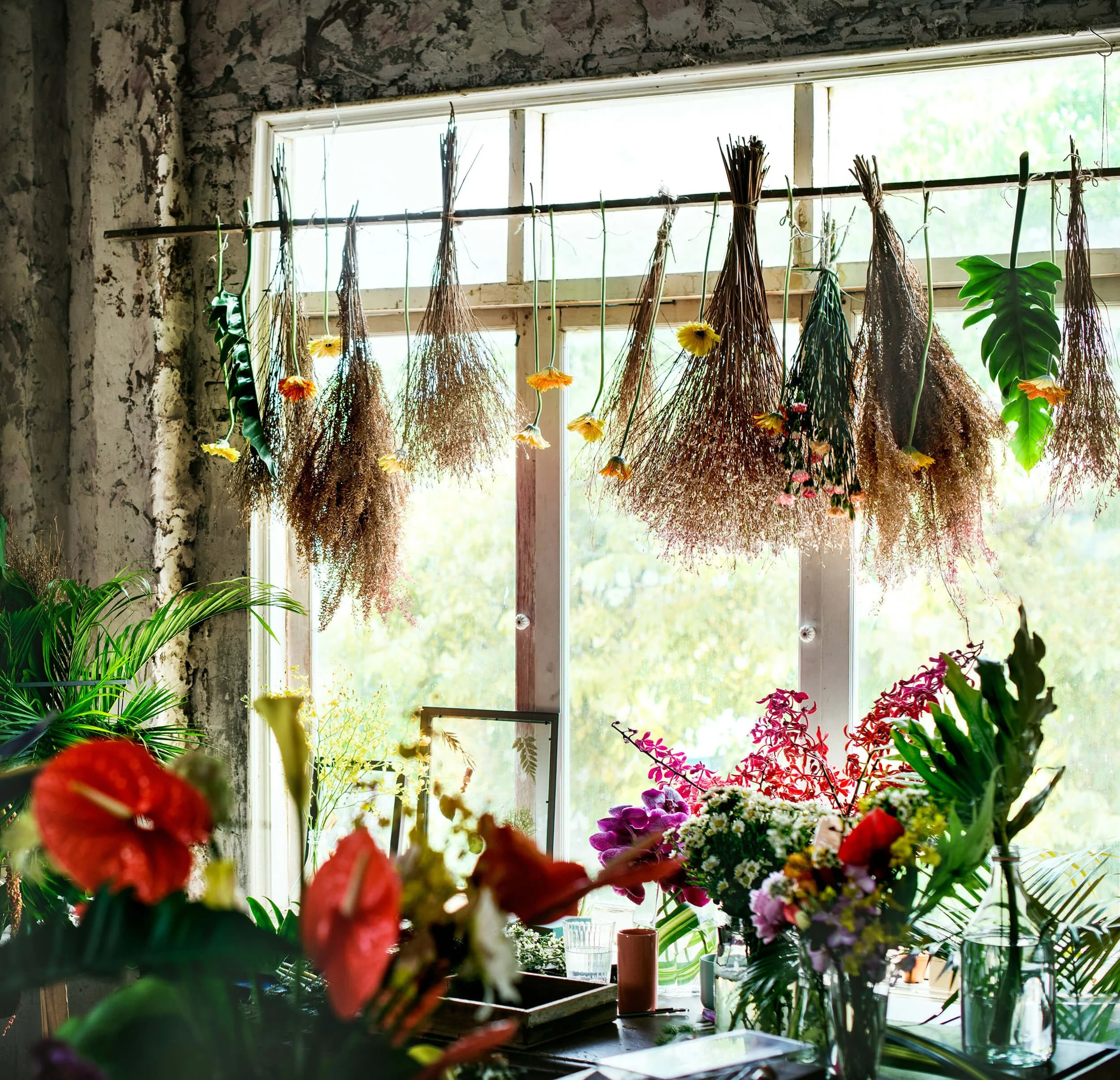 View of a flower shop interior with hanging dried flowers, fresh flowers in vases, and a large window with natural light.