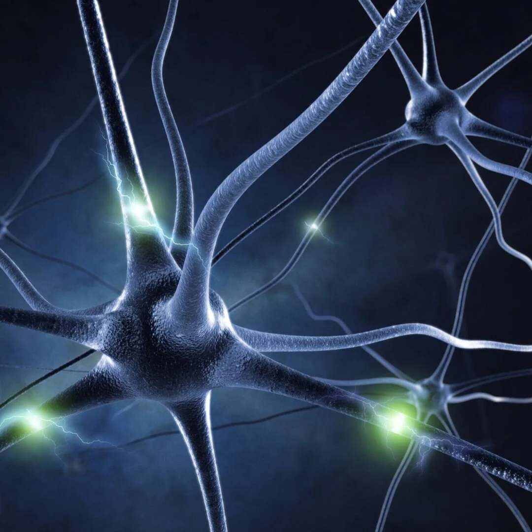 Neurotransmitter Analysis
