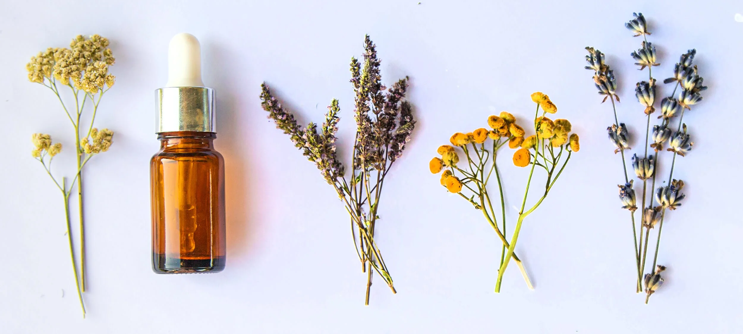Natural herbs and medicine in bottle as part of naturopathic medicine in New Hampshire