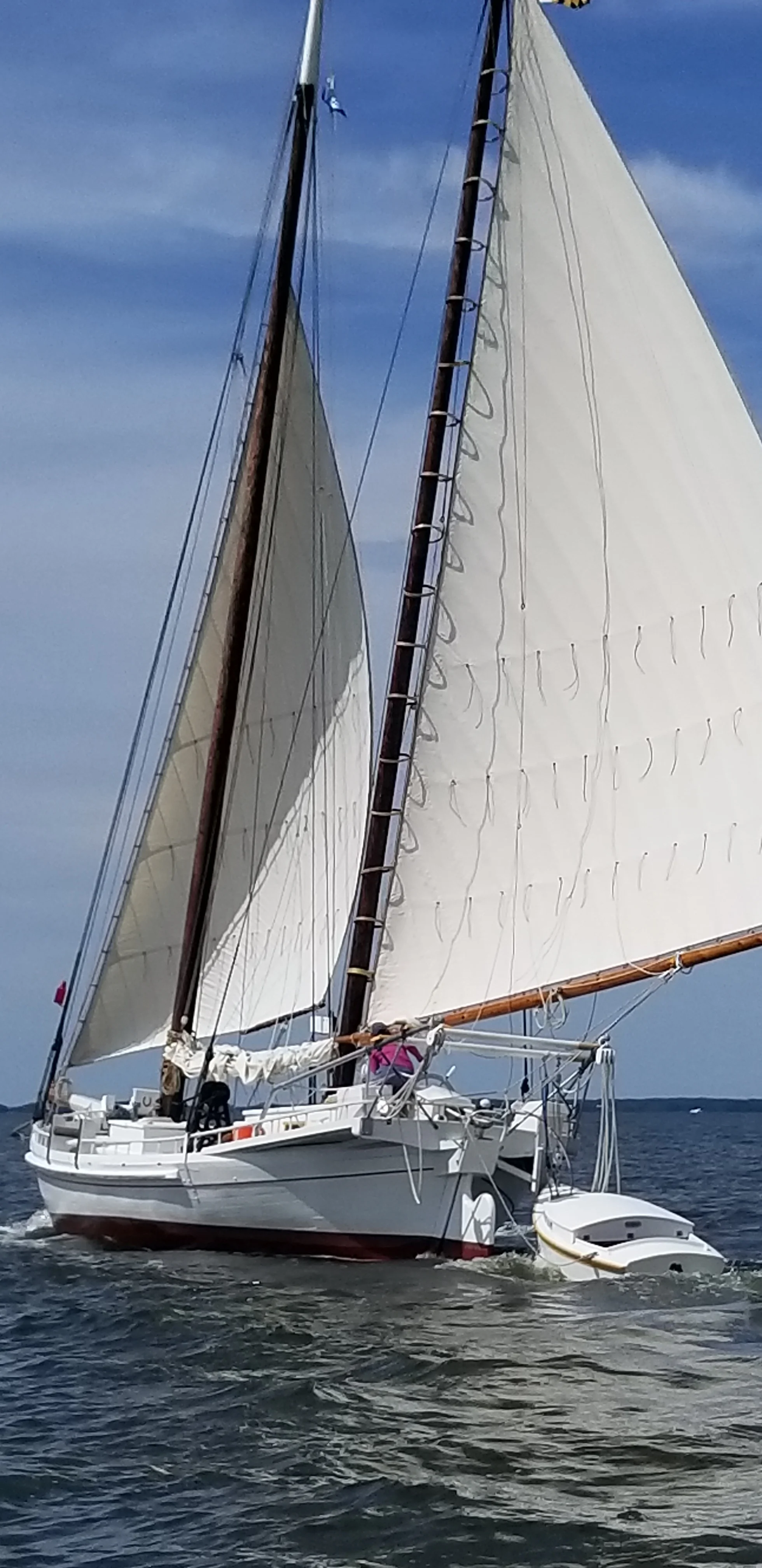 20190522_154403.jpg