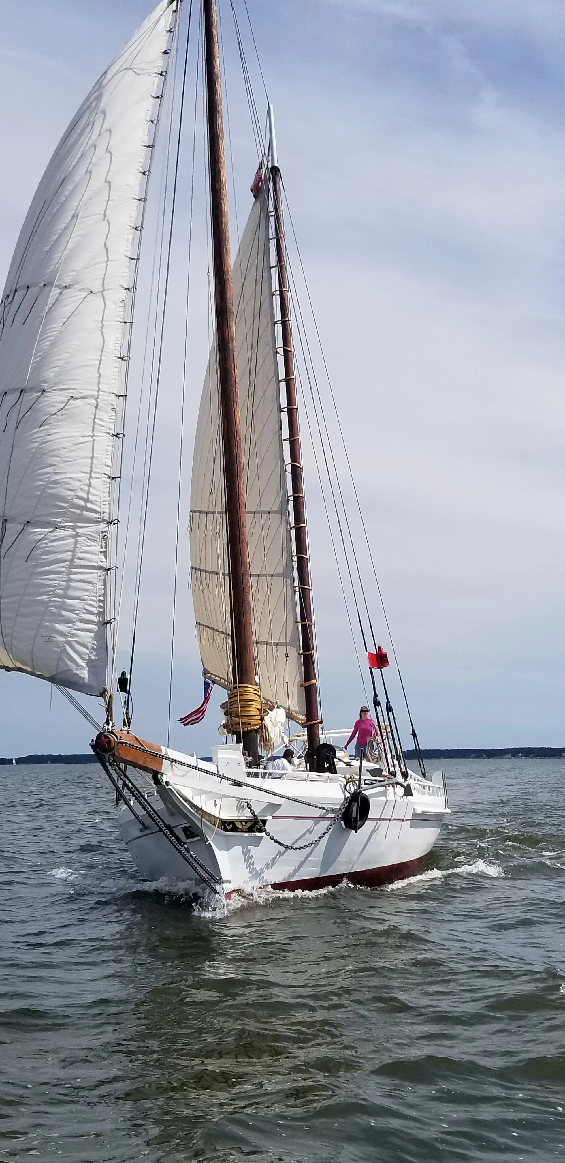 20190522_154322.jpg