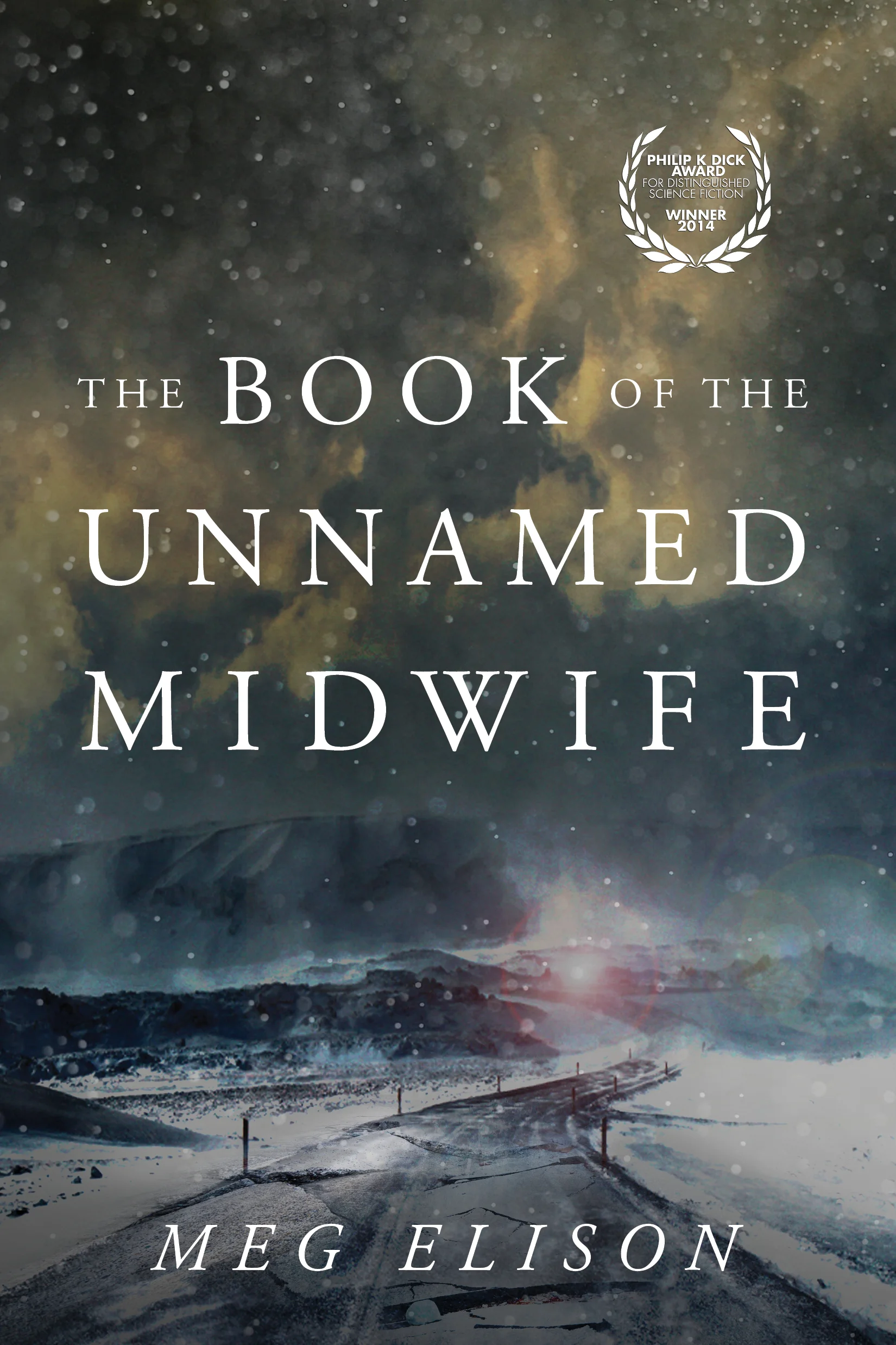 Elison-BookoftheUnnamedMidwife.jpg