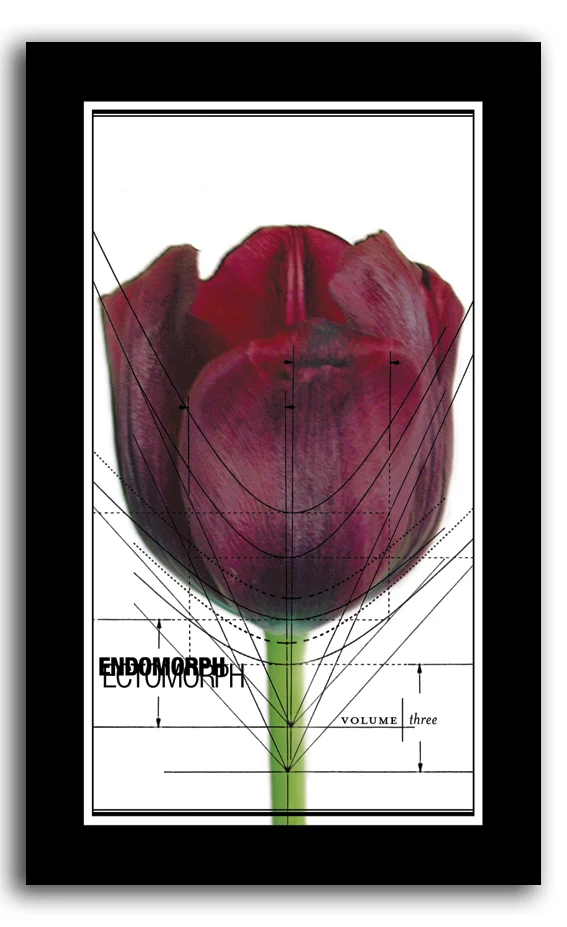 cover2002-v3.jpg