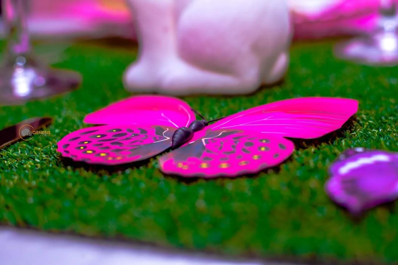 butterfly 3.jpeg
