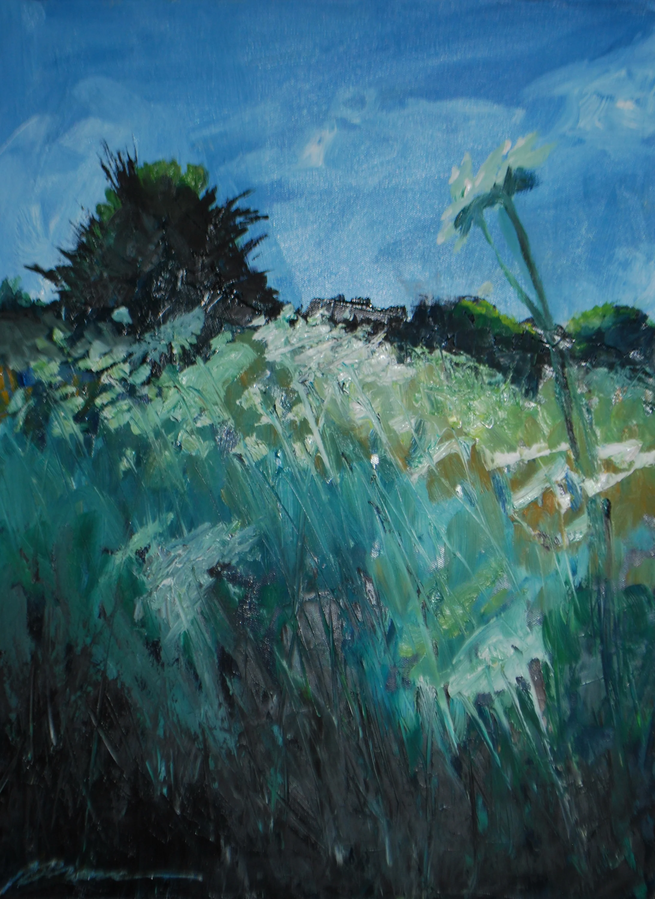 Spring Infusion
