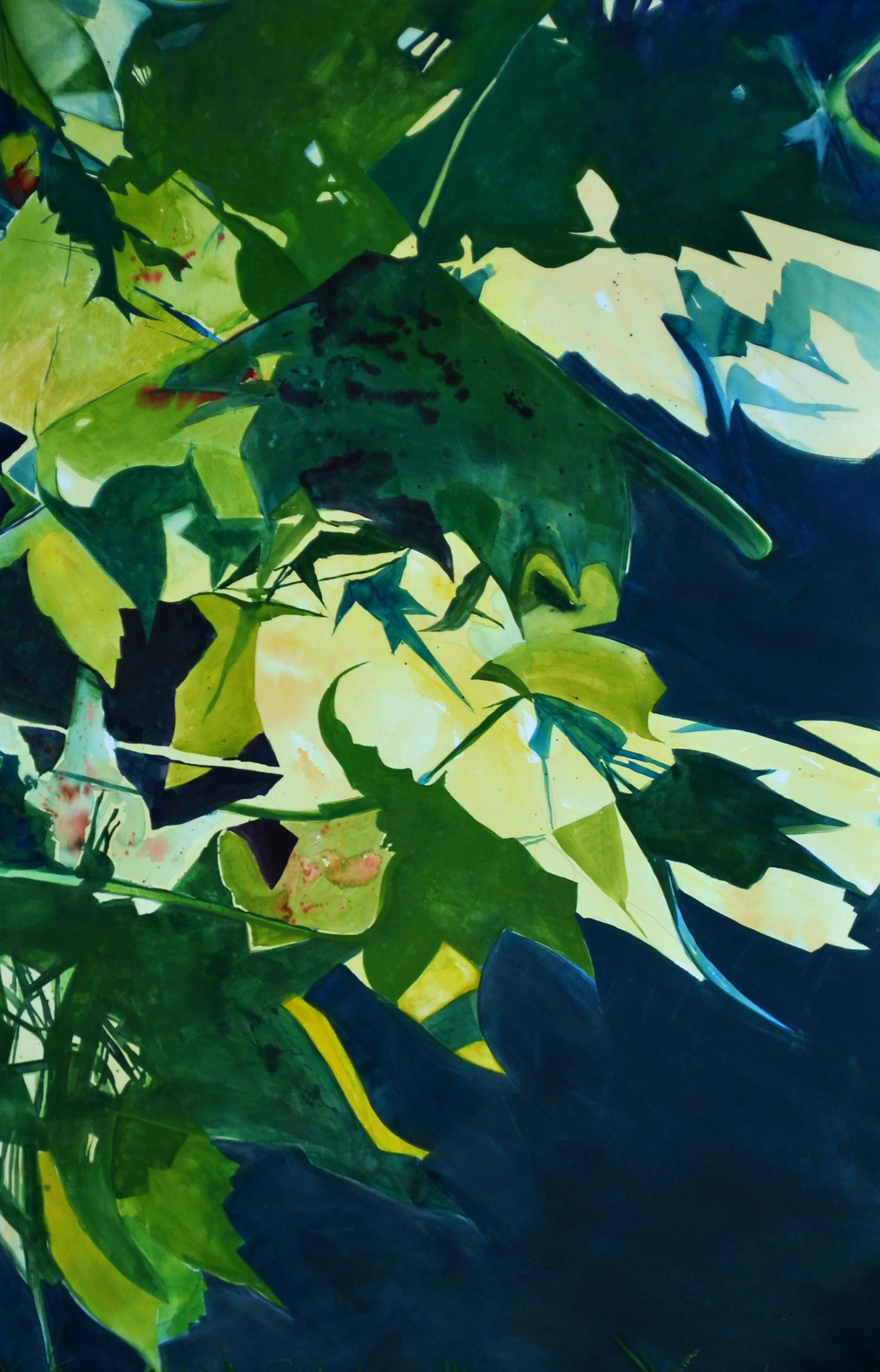 Summer Leaves