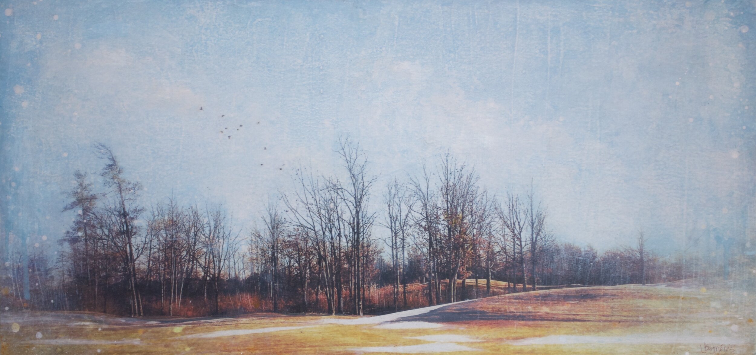 Forest Alchemy 2021, mixed media on cradled panel, 12x25 inches