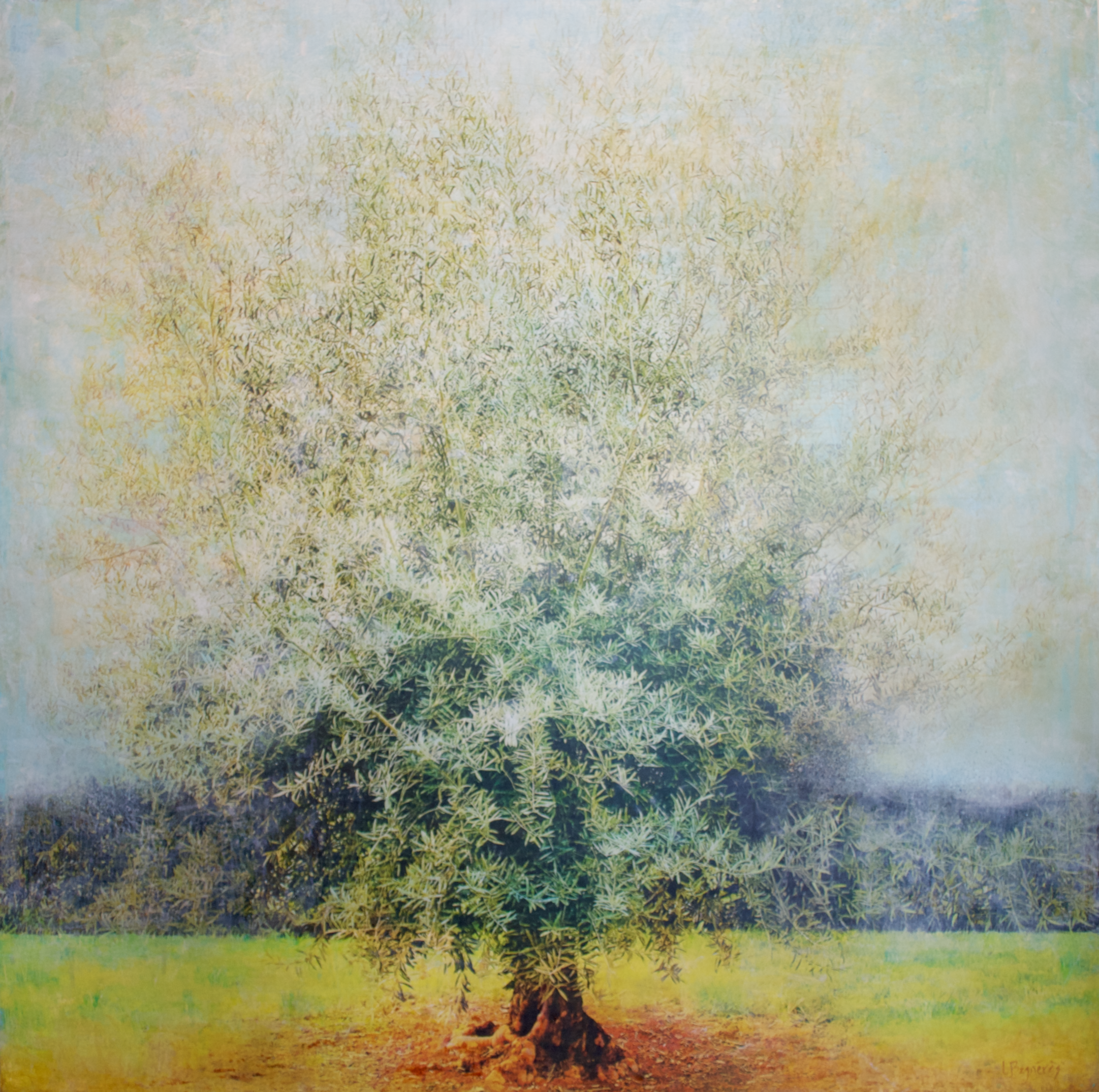   Olea  2023 mixed media on cradled panel, 40x40 inches  