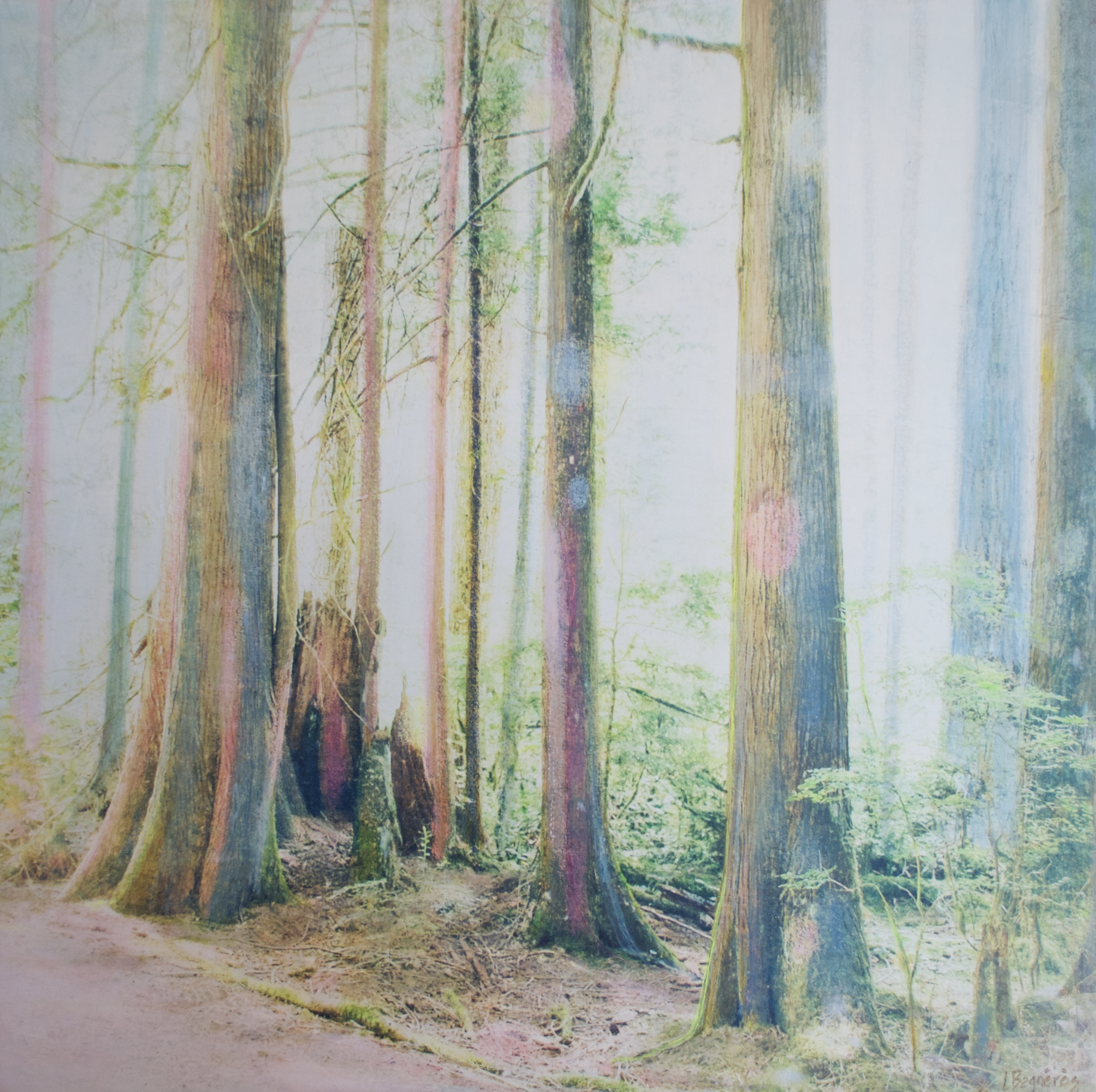  Light Moves  2026 Mixed media on birch panel, 24×24 inches 