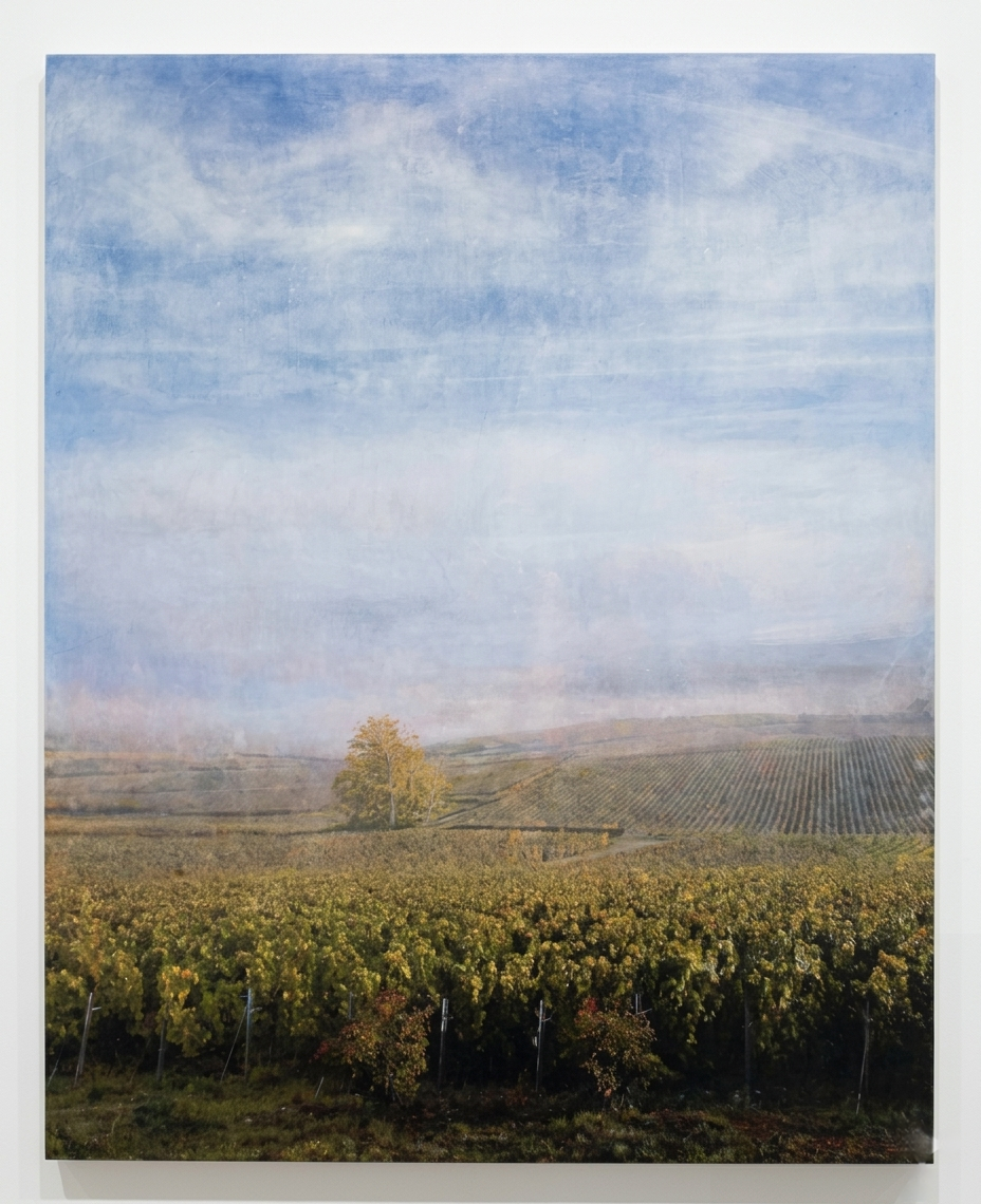   Where Oak Meets Vine  2026 mixed media on cradled panel, 60×48  Commission   