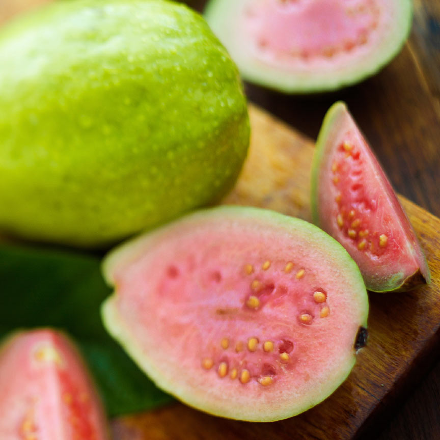 Thai Maroon Guava