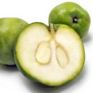 white-sapote.jpg