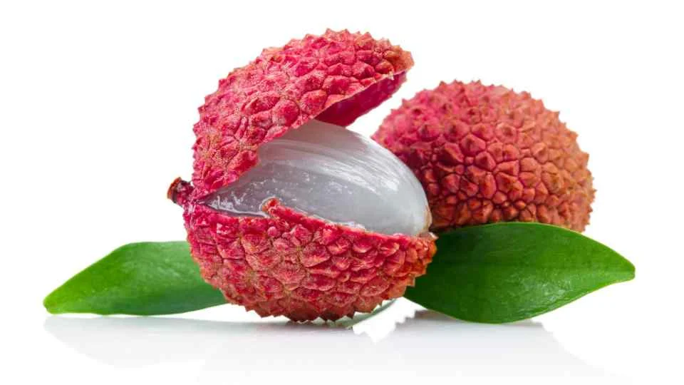 california-tropical-lychee-4.jpg