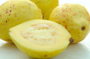 california-tropical-yellow-sweet-guava.jpg