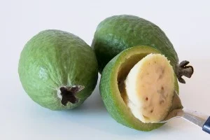 california-tropical-pineapple-guava.jpg