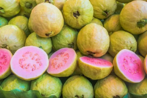 california-tropical-guava.jpg