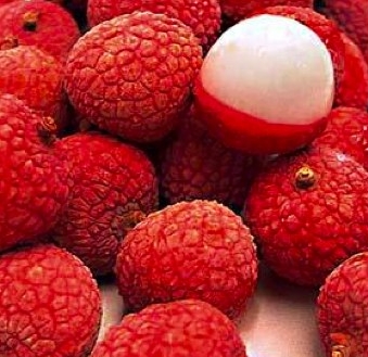 Lychee