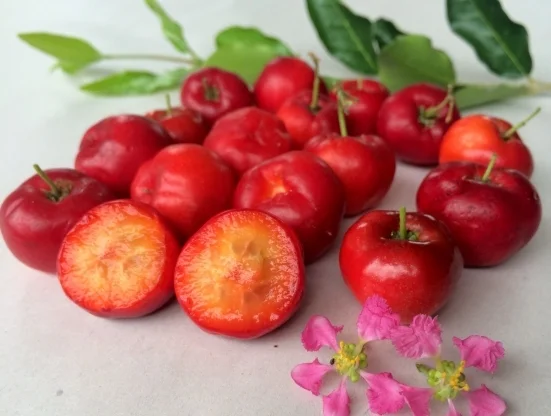 california-tropical-acerola-cherry-1.jpeg