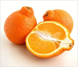 california-tropical-minneola-tangelo-1.jpg