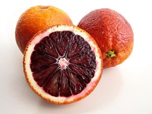 Orange California Tropical Fruit Tree Nursery California Tropical Fruit Tree Nursery