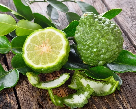 california-tropical-kaffir-lime-1.jpg