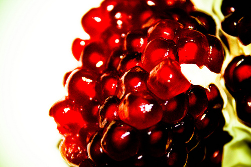 pomegranate b.jpg