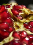 pomegranate wonderful 5.jpg