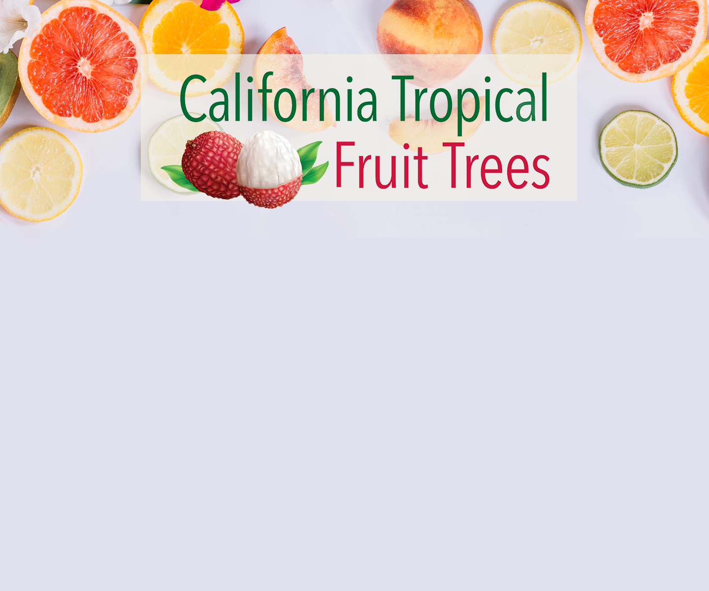 Vitamin tree fruit nursery