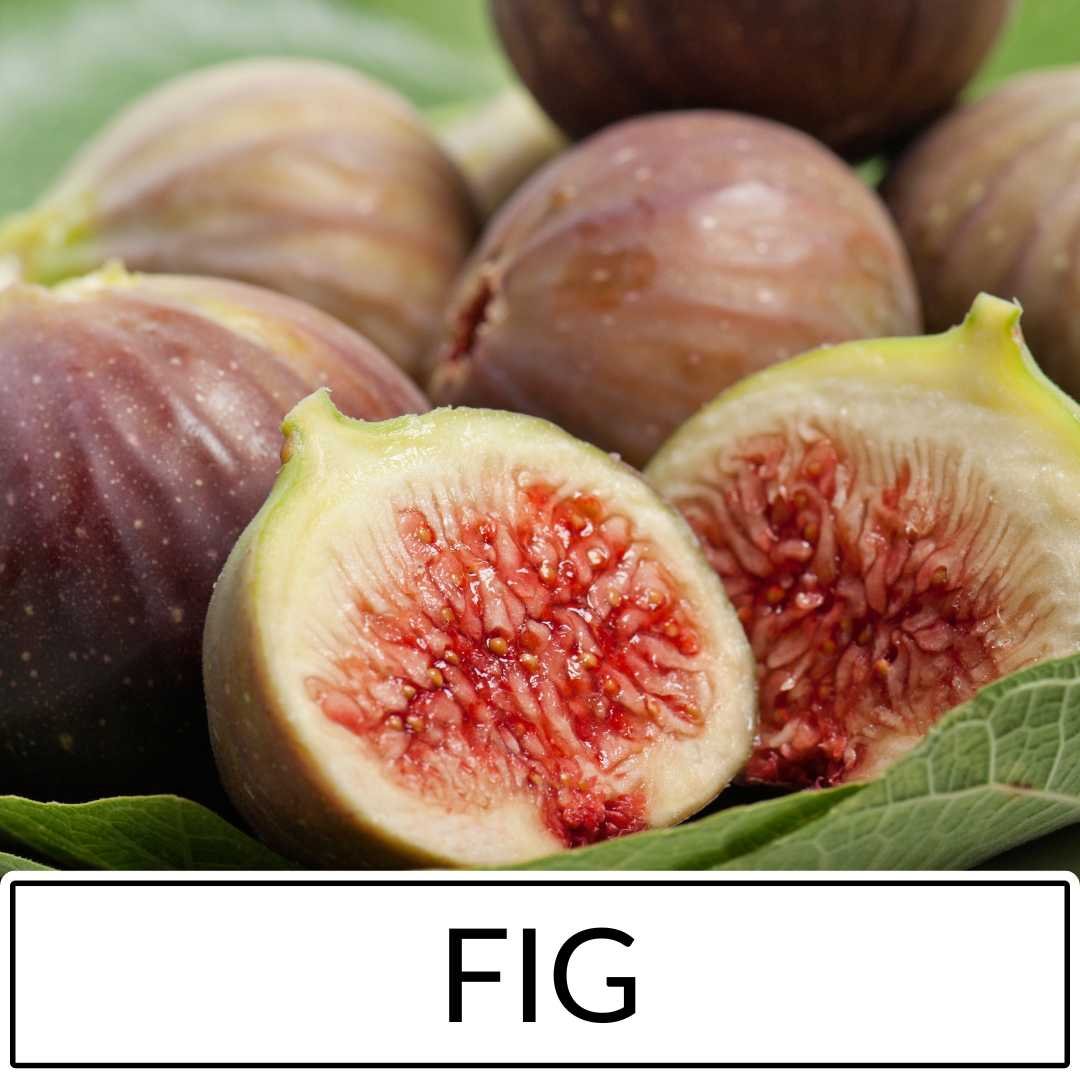 Fig Fruiting Trees