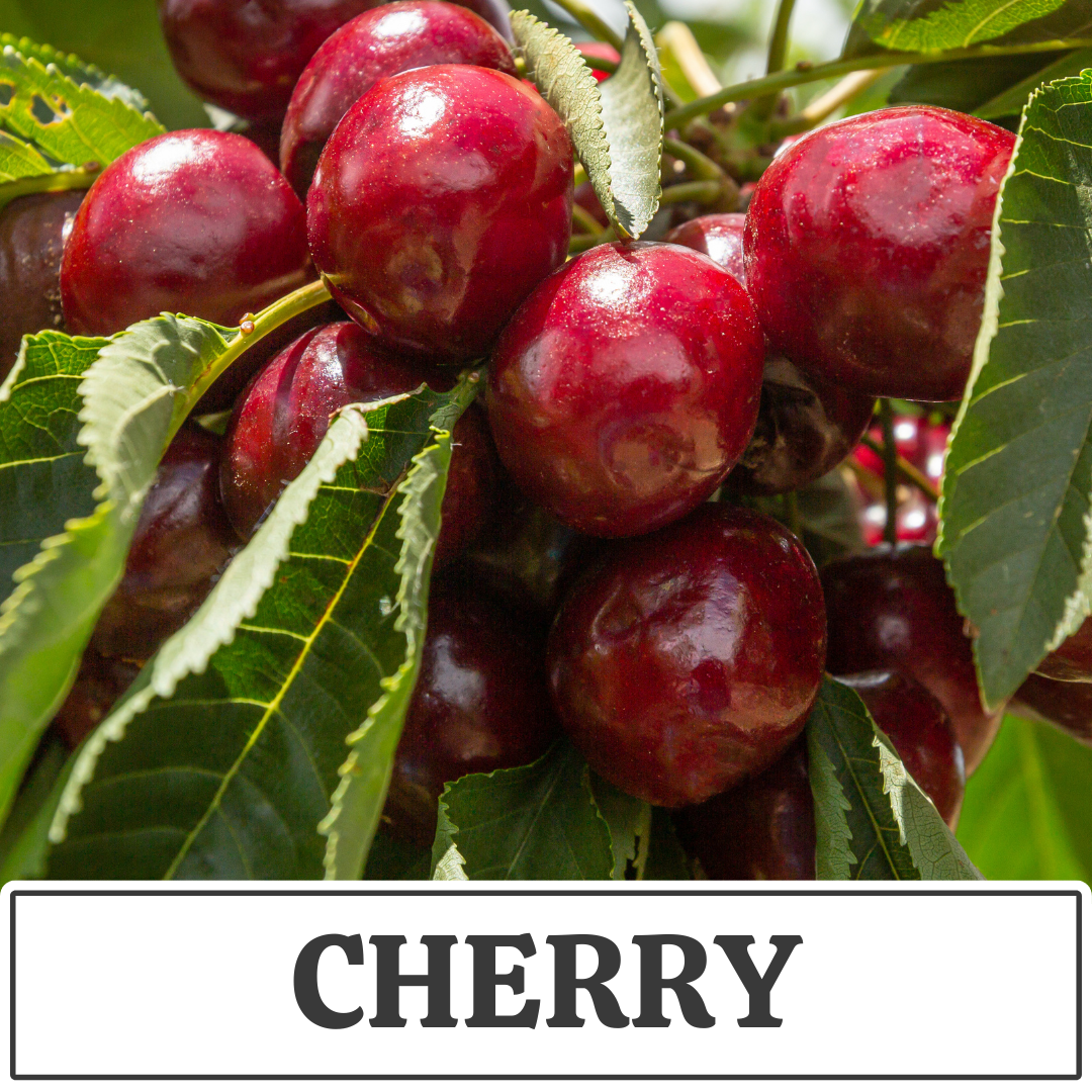 cherry.png