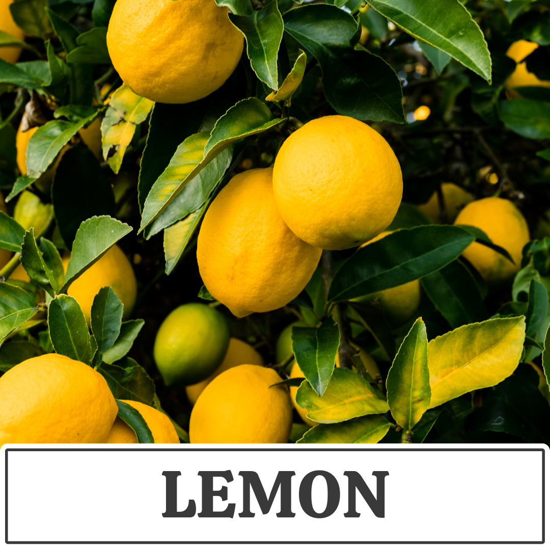 lemon.png